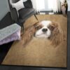 king washable area rugs cavalier king charles rug home decor